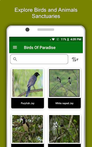 Brazil Travel & Explore, Offline Tourist Guide screenshot 13