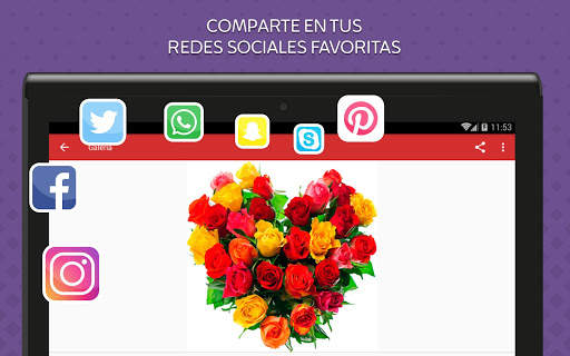 Rosas de Colores para Enamorar 7 تصوير الشاشة