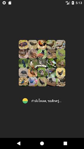 Red Junglefowl and Bird Sounds screenshot 1