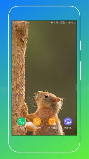 Squirrel Wallpaper screenshot 13