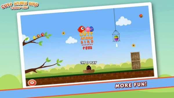 Cute Angry Bird : Eggs screenshot 6