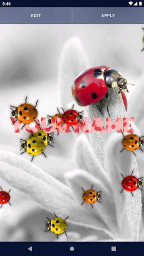 Cute Ladybug Live Wallpaper screenshot 2