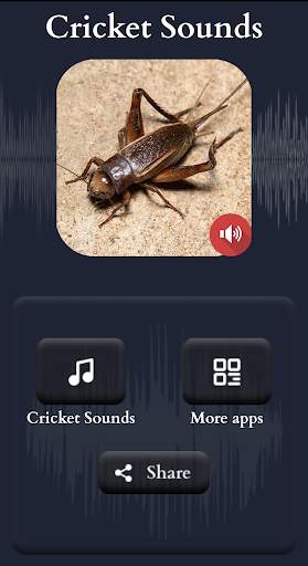 Cricket Sounds screenshot 2