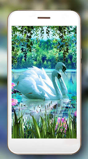 Swans Live Wallpaper screenshot 3