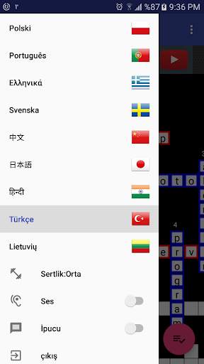 Bulmacalar screenshot 5