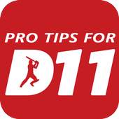 Dream11 Team Prediction 1.0
