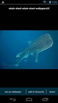 Whale Shark Wallpapers screenshot 1