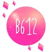 Selfie B612 YouCam 1.1