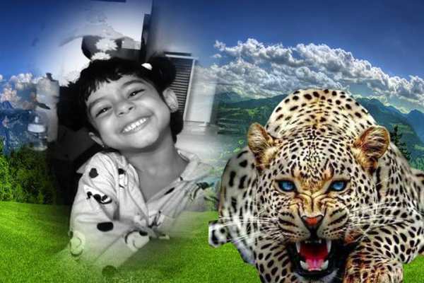 Wildlife Photo Frame screenshot 3