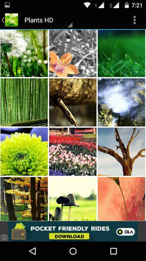 Plant HD Wallpaper screenshot 5