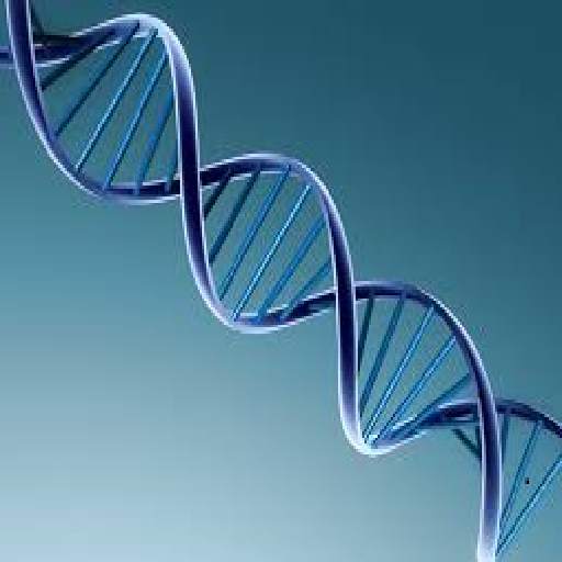 Higher Biology Quiz 1.0