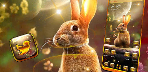 Rabbit in Space Launcher Theme screenshot 6