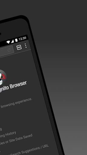 Puffin Incognito Browser screenshot 2