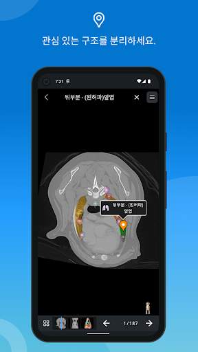 vet-Anatomy screenshot 4