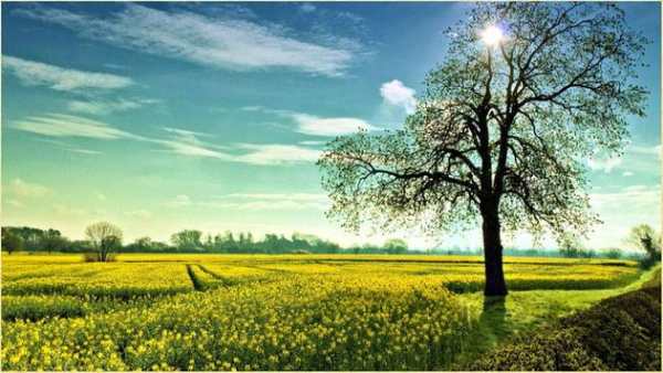 Charming Nature Backgrounds screenshot 6
