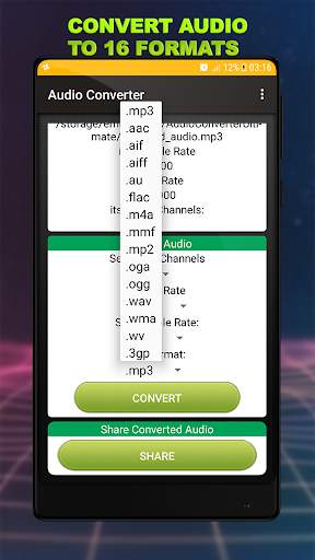Audio Converter - 16 Audio Formats screenshot 3