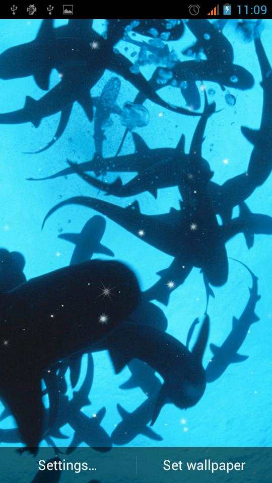 Shark Live Wallpaper скриншот 4