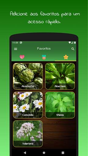 myRemedy: Plantas medicinais e seus usos screenshot 7