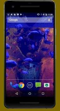 Piranha Live Video Wallpapers screenshot 1