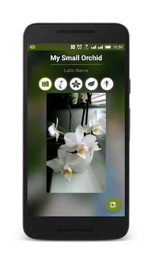 My Herbs screenshot 3