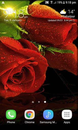 Red Roses Live Wallpaper screenshot 2