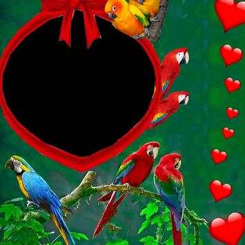 Parrot Photo Frame screenshot 5