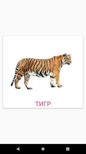 Карточки Домана screenshot 1