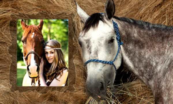 Horse Photo Frames screenshot 6
