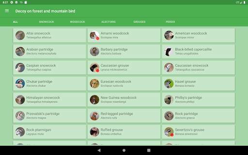 Decoy on forest bird screenshot 5