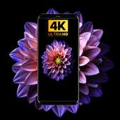 Flower Wallpapers 2020 1.0