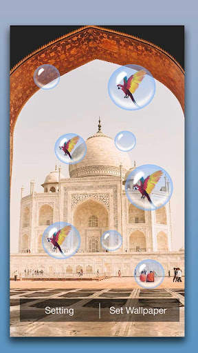 Taj Mahal Live Wallpaper screenshot 2