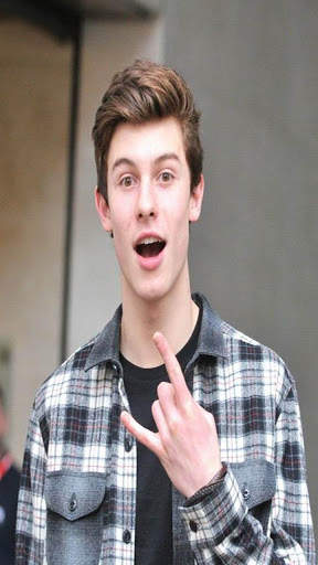 Shawan Mendes Hoyi Wallpapers screenshot 4