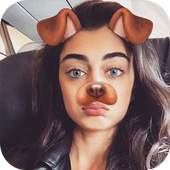 Sweet Camera, Face Filter, Selfie Editor, collage 1.0.1