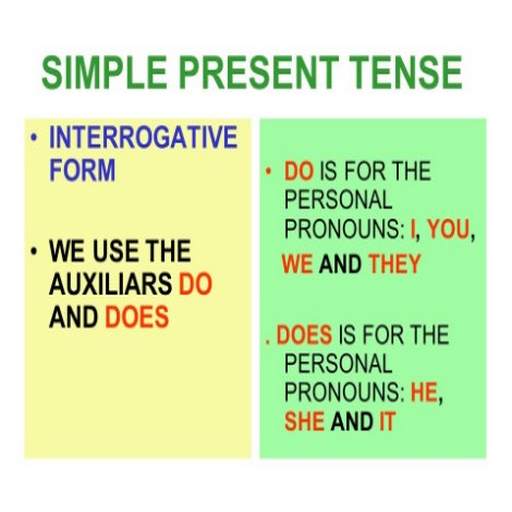 Simple Present Tenses screenshot 2