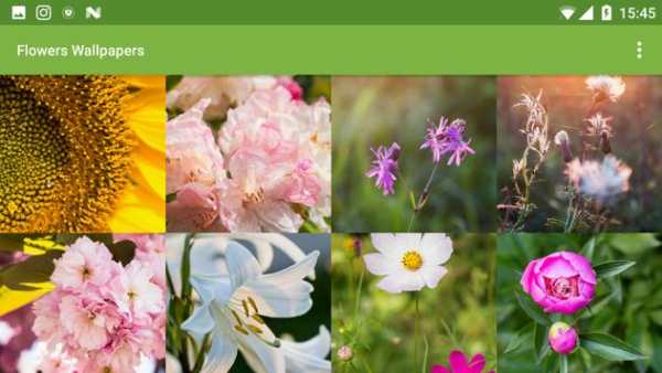 Flowers Wallpapers screenshot 3