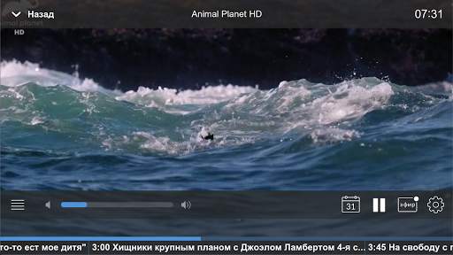 ТВ ПРОГТЕХ скриншот 5