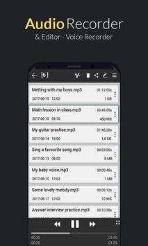 Audio Recorder & Editor - Voice Recorder screenshot 7