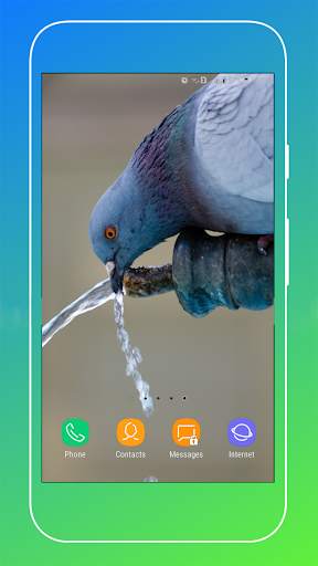 Pigeon Wallpaper screenshot 9