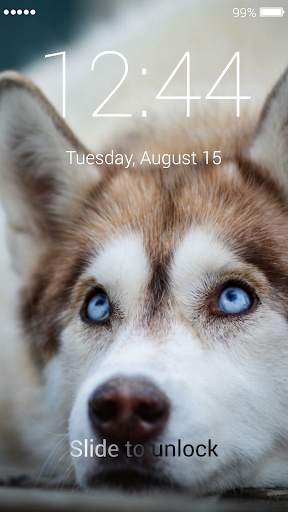Husky Lock Screen screenshot 5