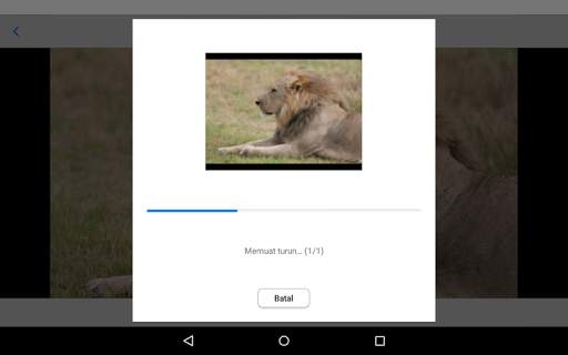 Canon Connect Station screenshot 9