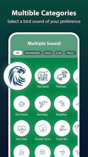 Bird Ringtone: Bird Sound screenshot 2