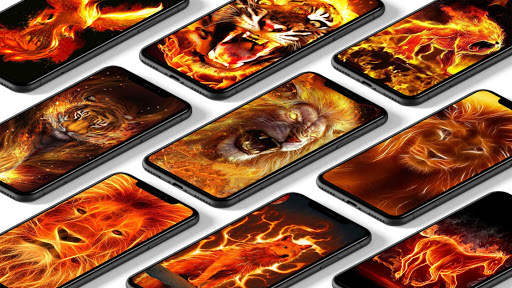 Fire Wallpaper - Fire Lion, Wolf & Tiger screenshot 1