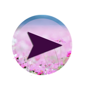 MP5 Player HD icon