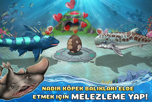 Shark World screenshot 4