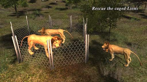Lion Attack 3D Simulator screenshot 5
