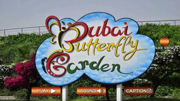 Dubai Butterfly Garden 360View screenshot 2