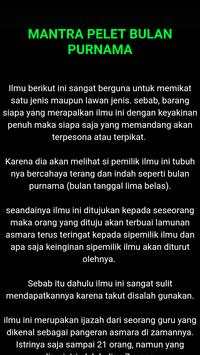 Sakti Pellet Spell screenshot 4