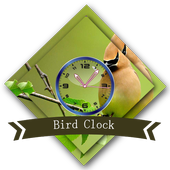 Bird Clock Live Wallpaper icon