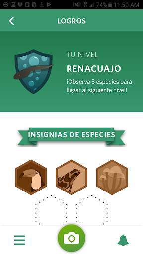 Seek, por iNaturalist screenshot 5