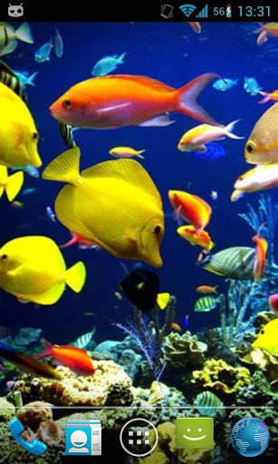 Magic Touch : Fish Pond screenshot 4
